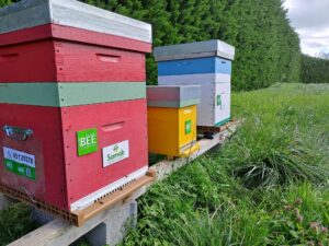 Journée internationale de la biodiversité – 22 mai 2025